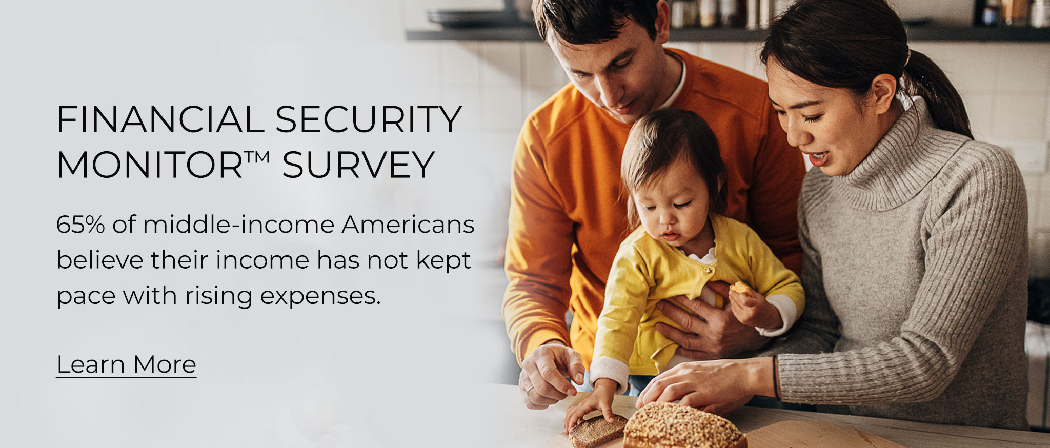 Financial Security Moniter